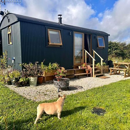 Vila Luxury Shepherd Hut In The Peak District Bakewell Exteriér fotografie