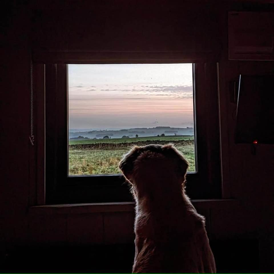 Vila Luxury Shepherd Hut In The Peak District Bakewell Exteriér fotografie